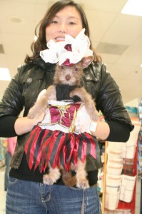 Taco the pirate Taco the pirate