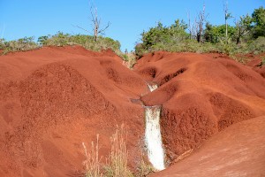 Waimea Canyon Quick stop on the way up to Waimea Canyon