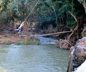 Swinging like a monkey _MG_9359