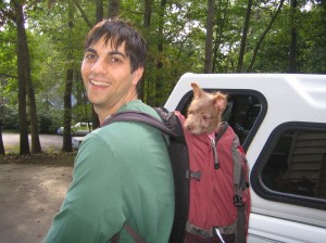 Taco goes for bikeride Taco goes for a bike ride.